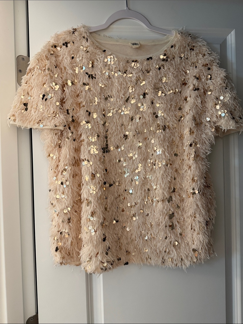 Ivy Jane Beige Sequin Fuzzy Short Sleeve Top